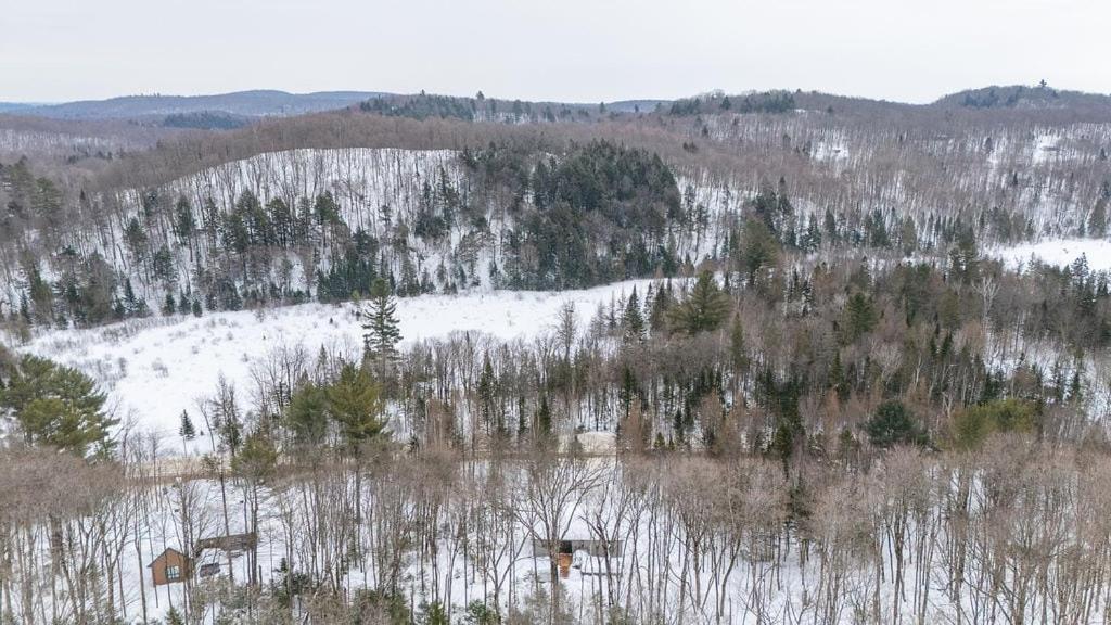 Chalet Amira - Nature Retreat - Hiking Brownsburg Exterior photo